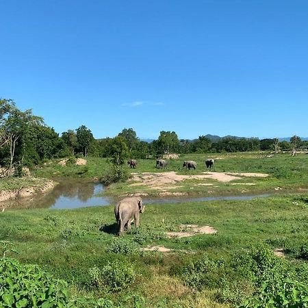 I Love Phants Lodge Ban Huai Thawai Luaran gambar