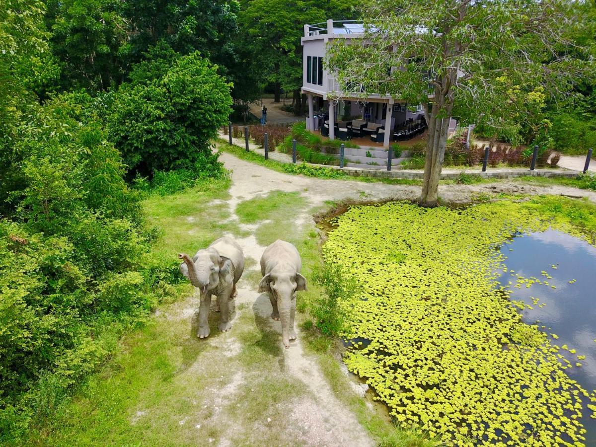 I Love Phants Lodge Ban Huai Thawai Luaran gambar