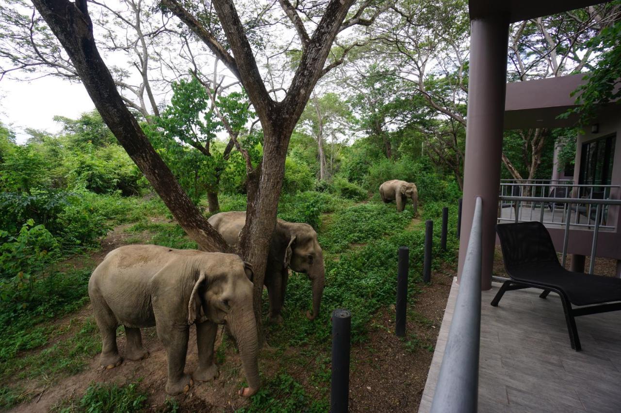 I Love Phants Lodge Ban Huai Thawai Luaran gambar