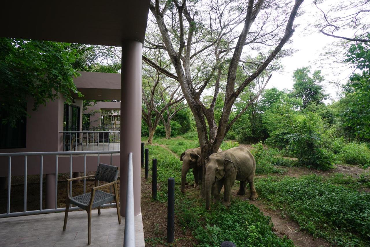 I Love Phants Lodge Ban Huai Thawai Luaran gambar