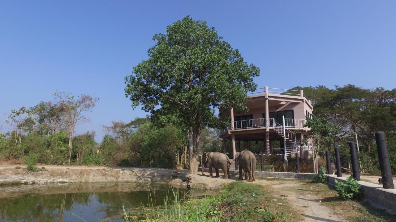 I Love Phants Lodge Ban Huai Thawai Luaran gambar