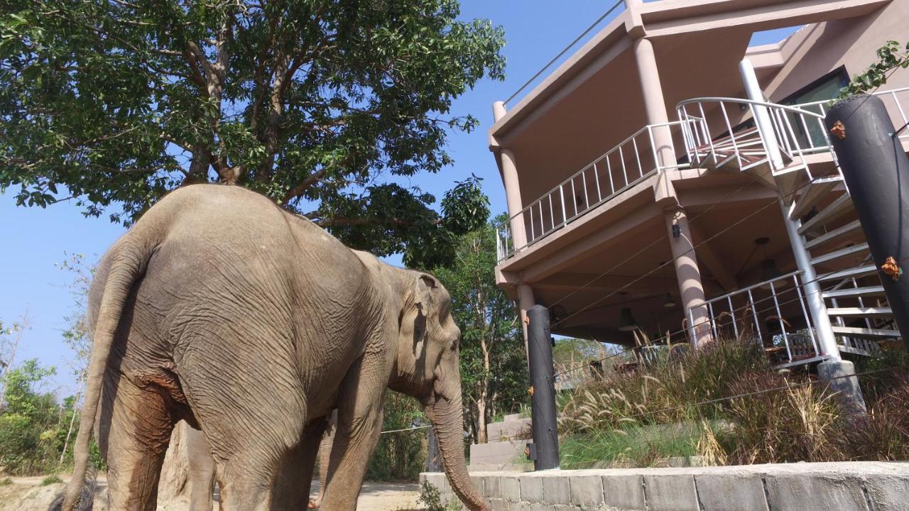 I Love Phants Lodge Ban Huai Thawai Luaran gambar