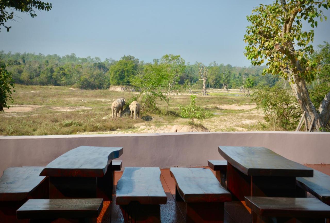 I Love Phants Lodge Ban Huai Thawai Luaran gambar