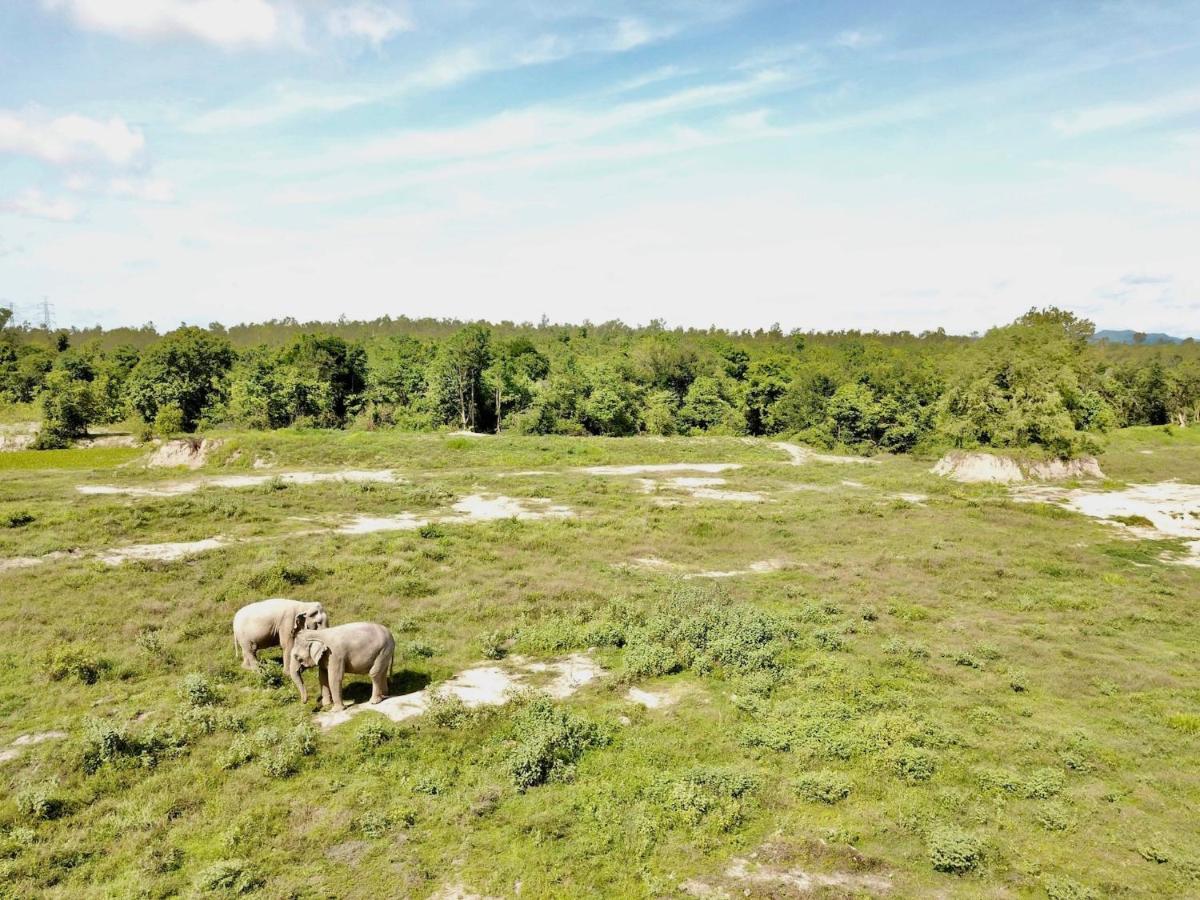 I Love Phants Lodge Ban Huai Thawai Luaran gambar