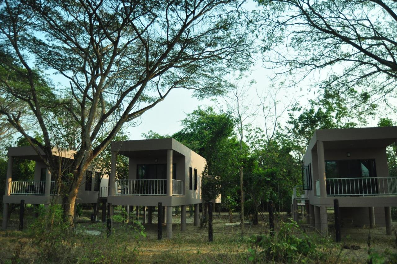 I Love Phants Lodge Ban Huai Thawai Luaran gambar