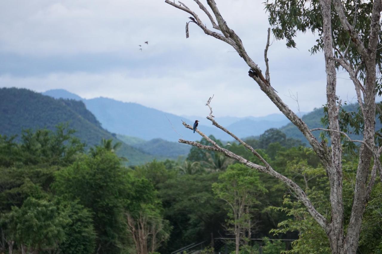 I Love Phants Lodge Ban Huai Thawai Luaran gambar