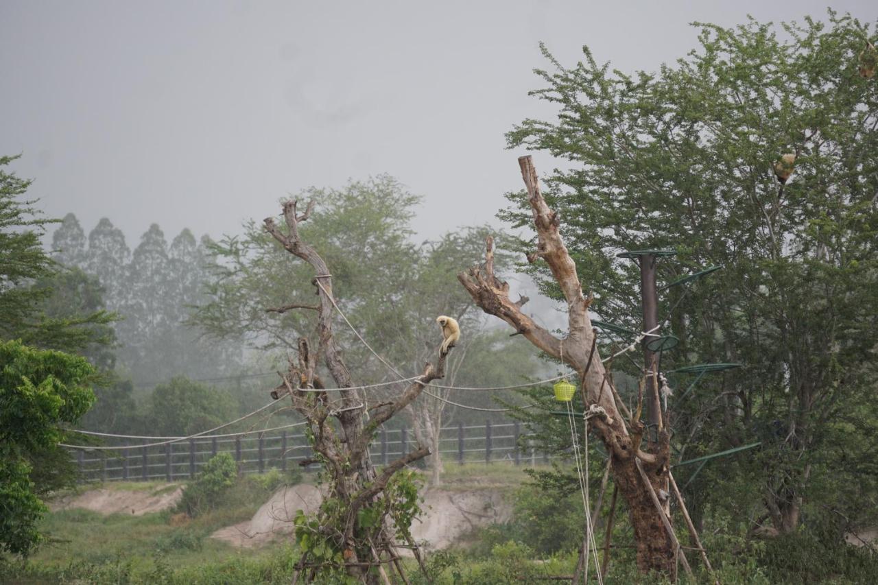 I Love Phants Lodge Ban Huai Thawai Luaran gambar