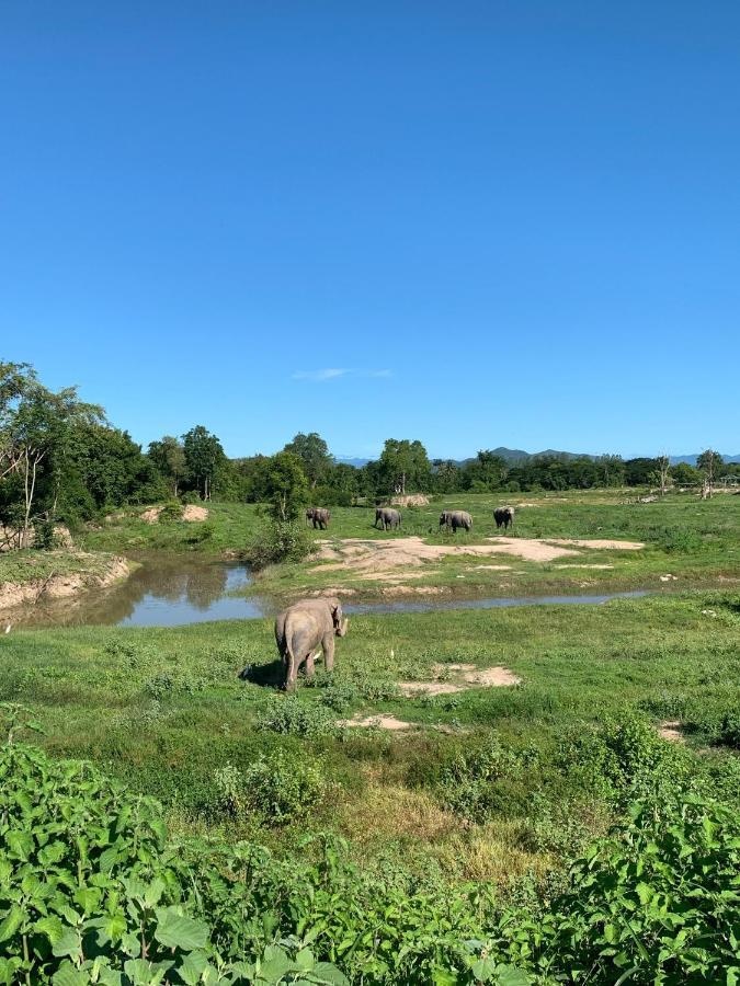 I Love Phants Lodge Ban Huai Thawai Luaran gambar