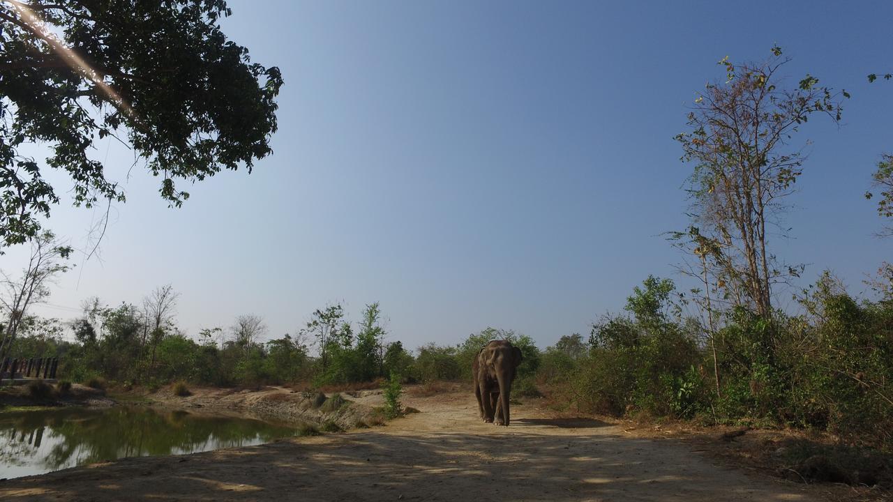 I Love Phants Lodge Ban Huai Thawai Luaran gambar