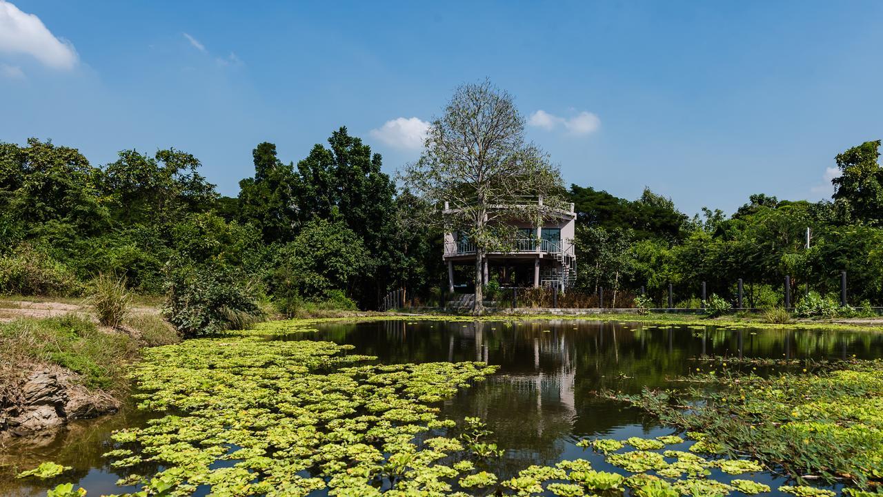 I Love Phants Lodge Ban Huai Thawai Luaran gambar